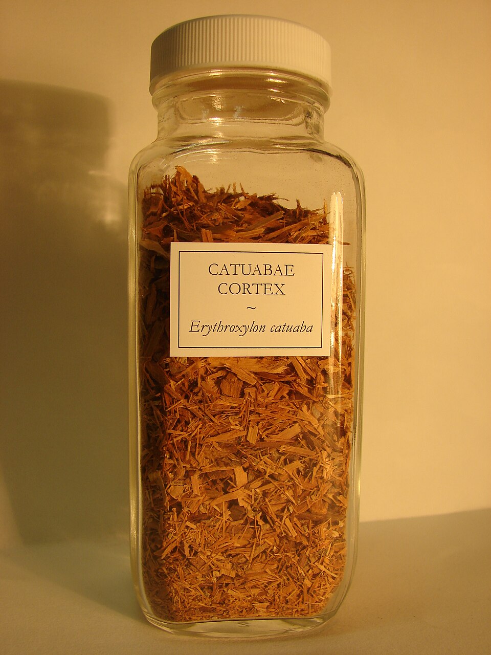 Catuaba plant
