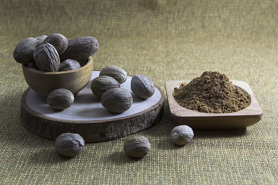 Nutmeg plant